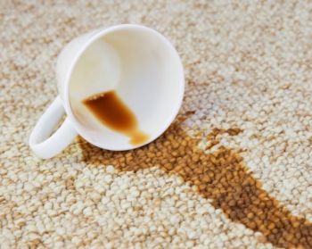 cup of coffee spilt over a cream loop pile carpet